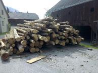 Rundholz Esche Faserholz für Brennholz