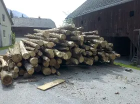 Rundholz Rundholz Esche Faserholz für Brennholz
