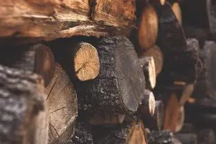 Brennholz Brennholz Kiefer, Eibe trocken