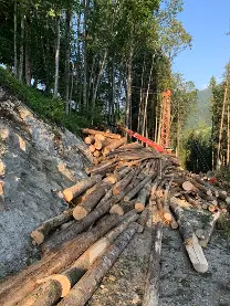 Rundholz Rundholz Esche Faserholz