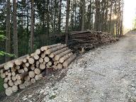 Rundholz Fichte in Bauholz-Qualität