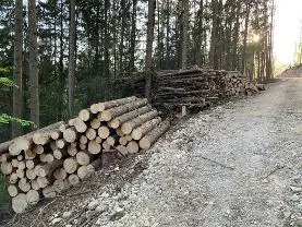 Rundholz Rundholz Fichte in Bauholz-Qualität