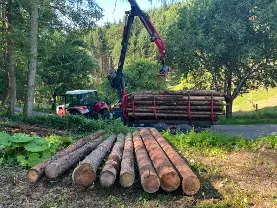 Rundholz Rundholz Europäische Lärche feinjährig