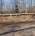 Brennholz Esche trocken