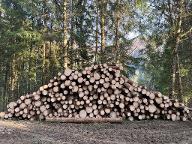 Rundholz Fichte Großmenge