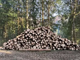 Rundholz Rundholz Fichte Großmenge