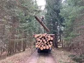 Rundholz Rundholz Fichte A-Qualität