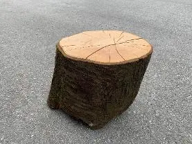 Holzprodukte test
