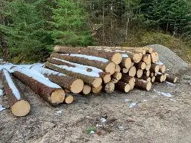 Rundholz Rundholz Fichte vollholzig